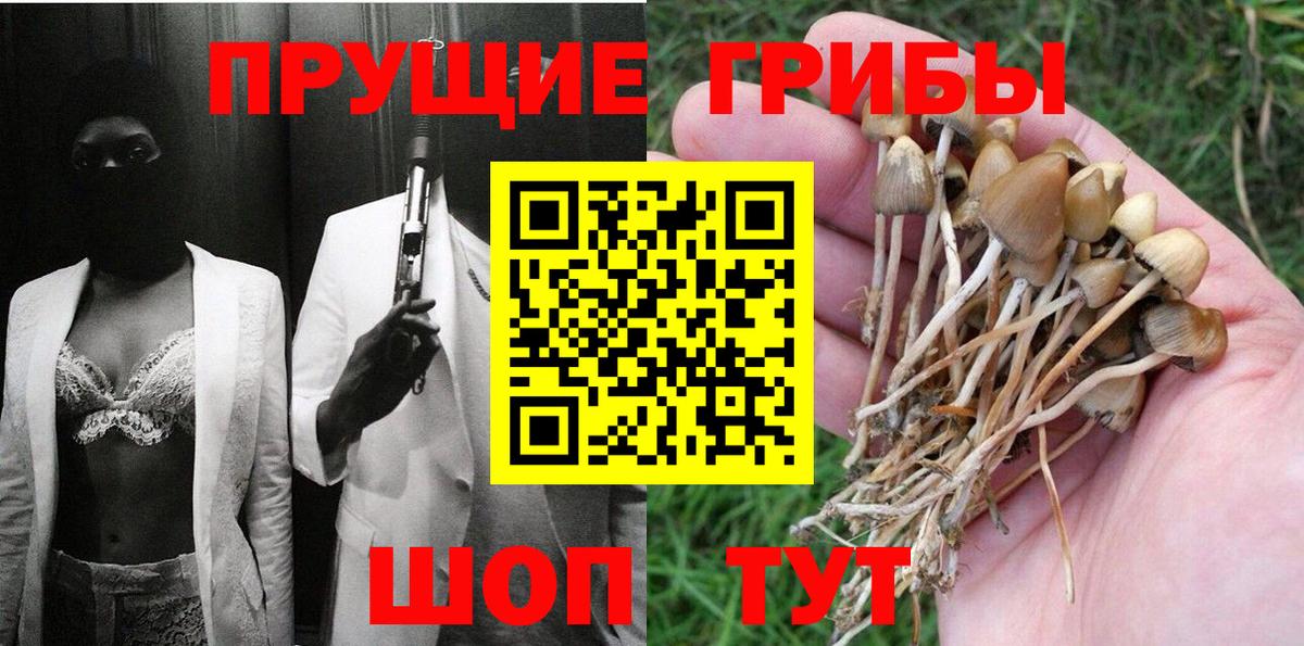 Псилоцибиновые грибы мицелий  Вход с VPN  Выкса  Псилоцибиновые грибы мухоморы 