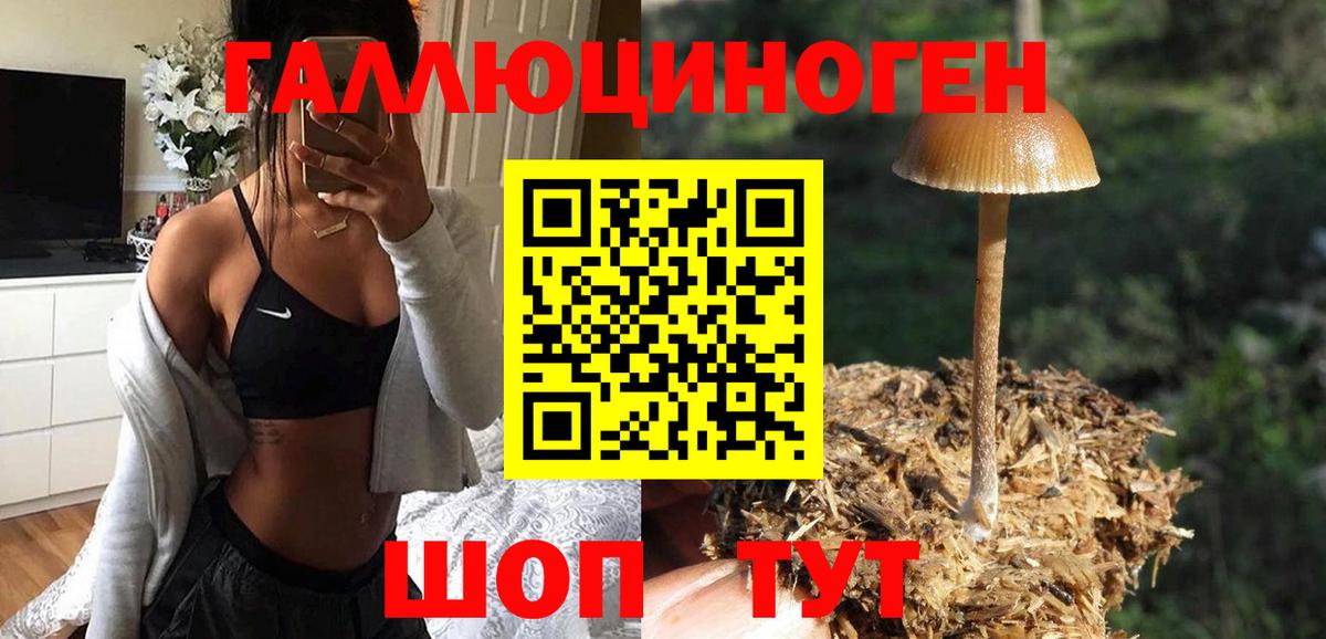 Псилоцибиновые грибы прущие грибы Выкса