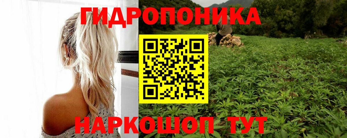 Каннабис THC 21%  МАРИХУАНА тримм  Выкса  Вход с VPN  МАРИХУАНА White Widow  Бошки Шишки тримм 